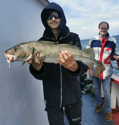 Butter bei die Fische