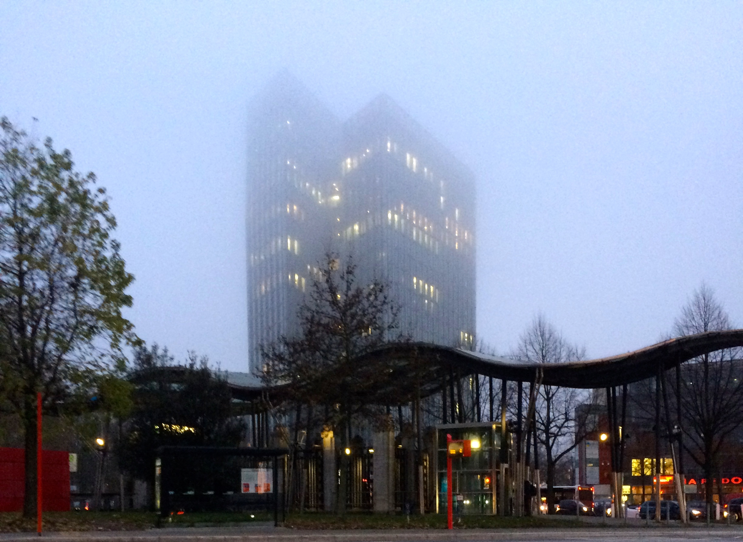ORTE - Und sie tanzen im Nebel ...